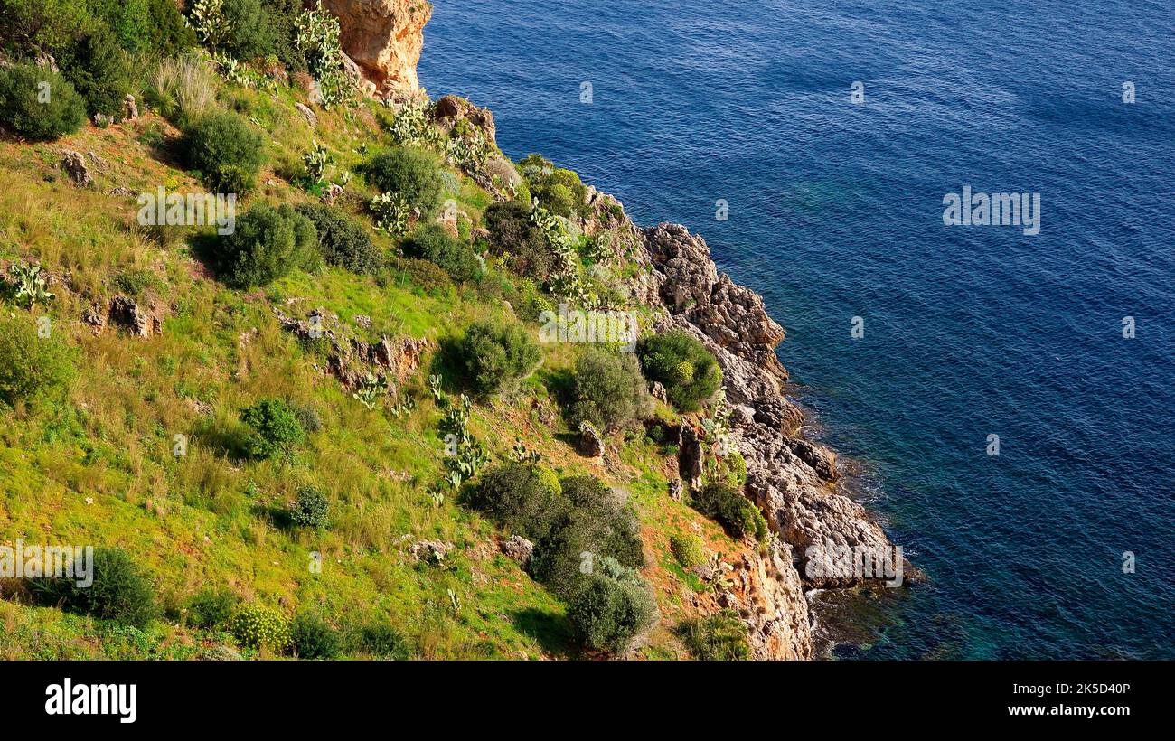 Italy, Sicily, Zingaro National Park, spring, green-yellow overgrown slope, rocks, blue sea Stock Photo