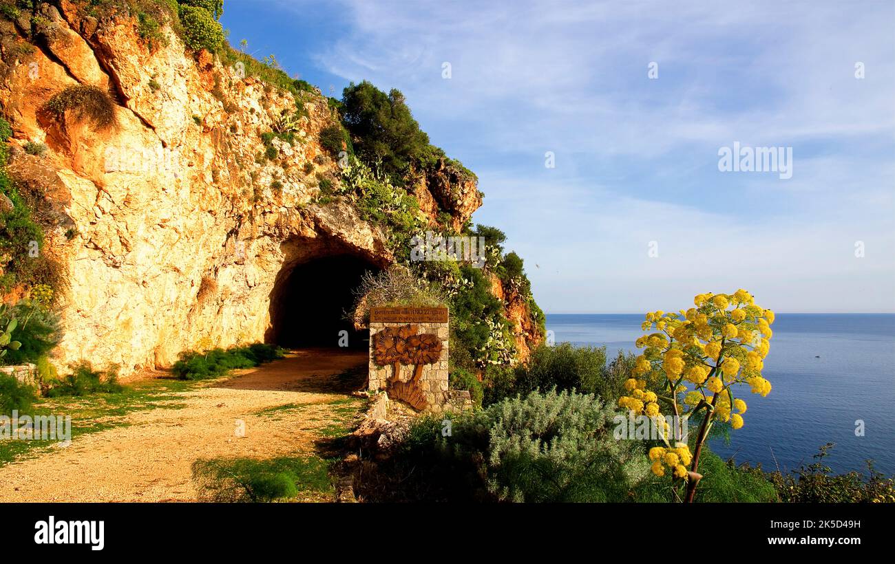 Italy, Sicily, Zingaro National Park, spring, entrance to national park, tunnel, wall, yellow big flowers, light blue sky with white veil clouds Stock Photo