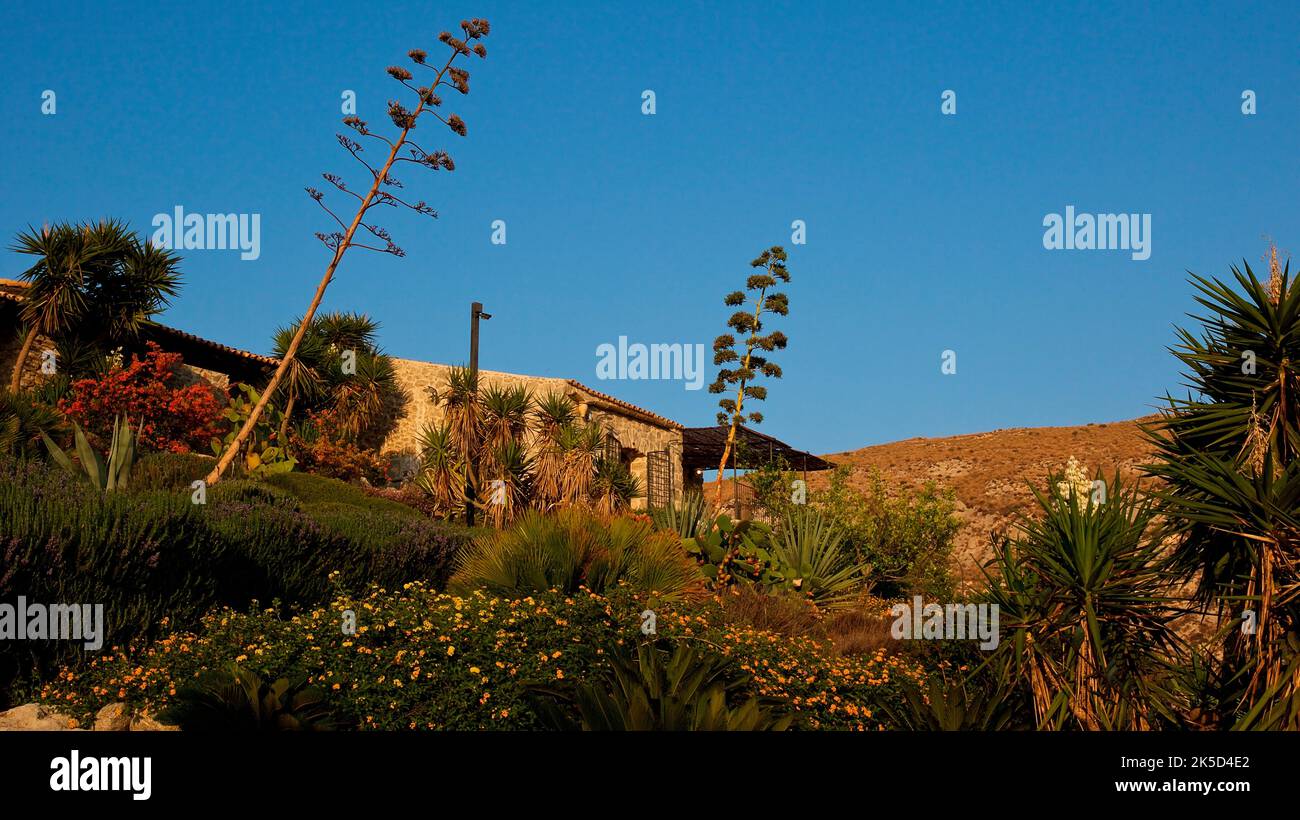 Italy, Sicily, country house, agaves, palm trees, green bushes, blue sky Stock Photo