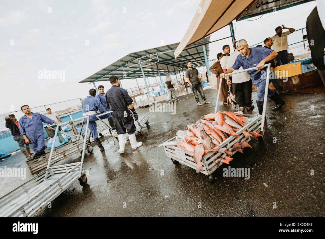 Saudi Arabia, Mecca Province, Jeddah/Jeddah, fish market Stock Photo
