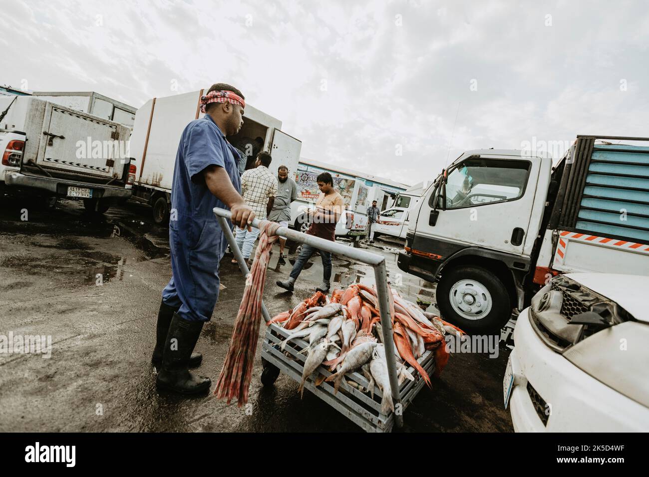 Saudi Arabia, Mecca province, Jeddah/Jeddah, fish market, parking lot