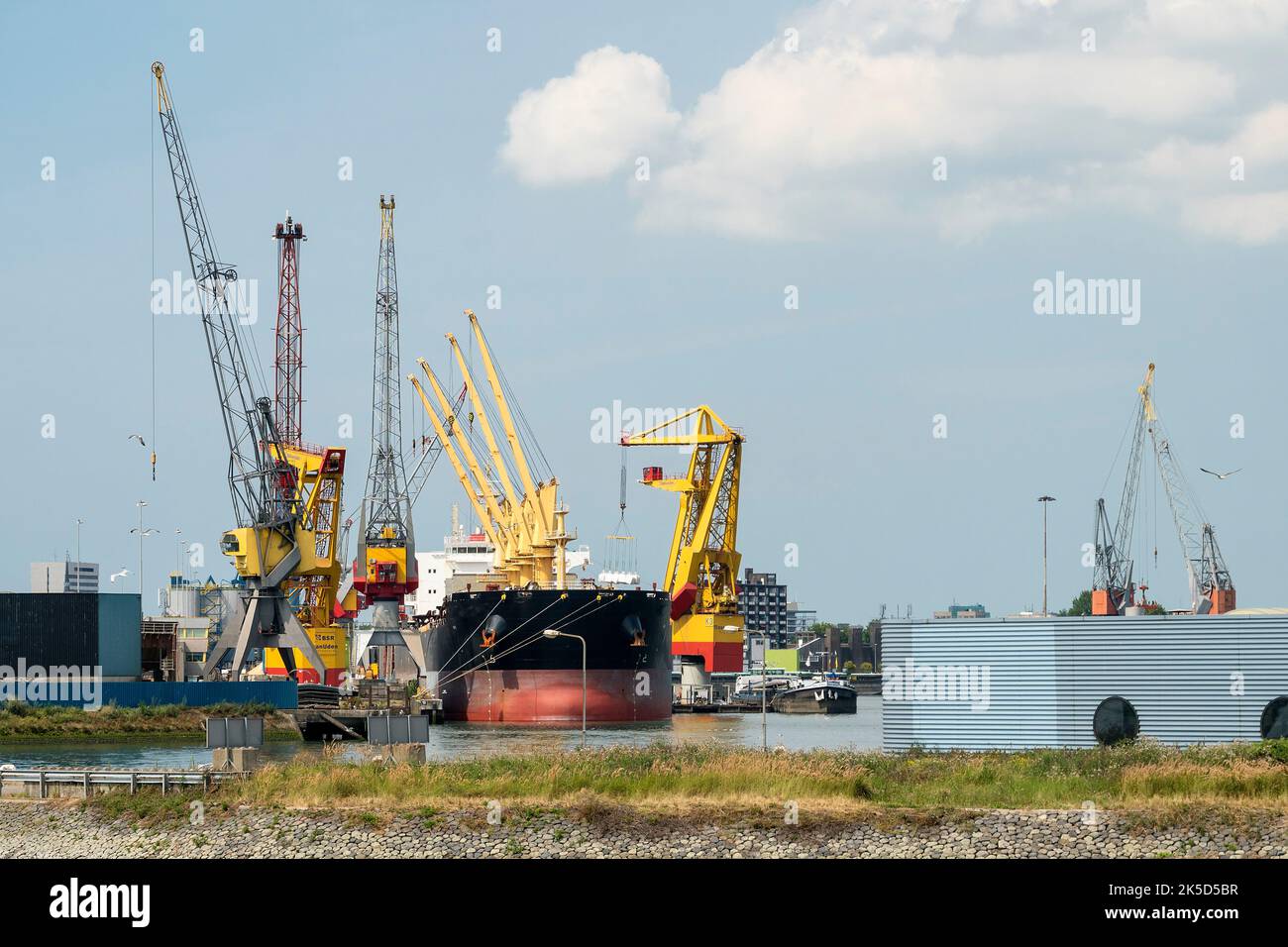 Netherlands, Rotterdam, harbor tour, Schiehaven, loading cranes Stock Photo