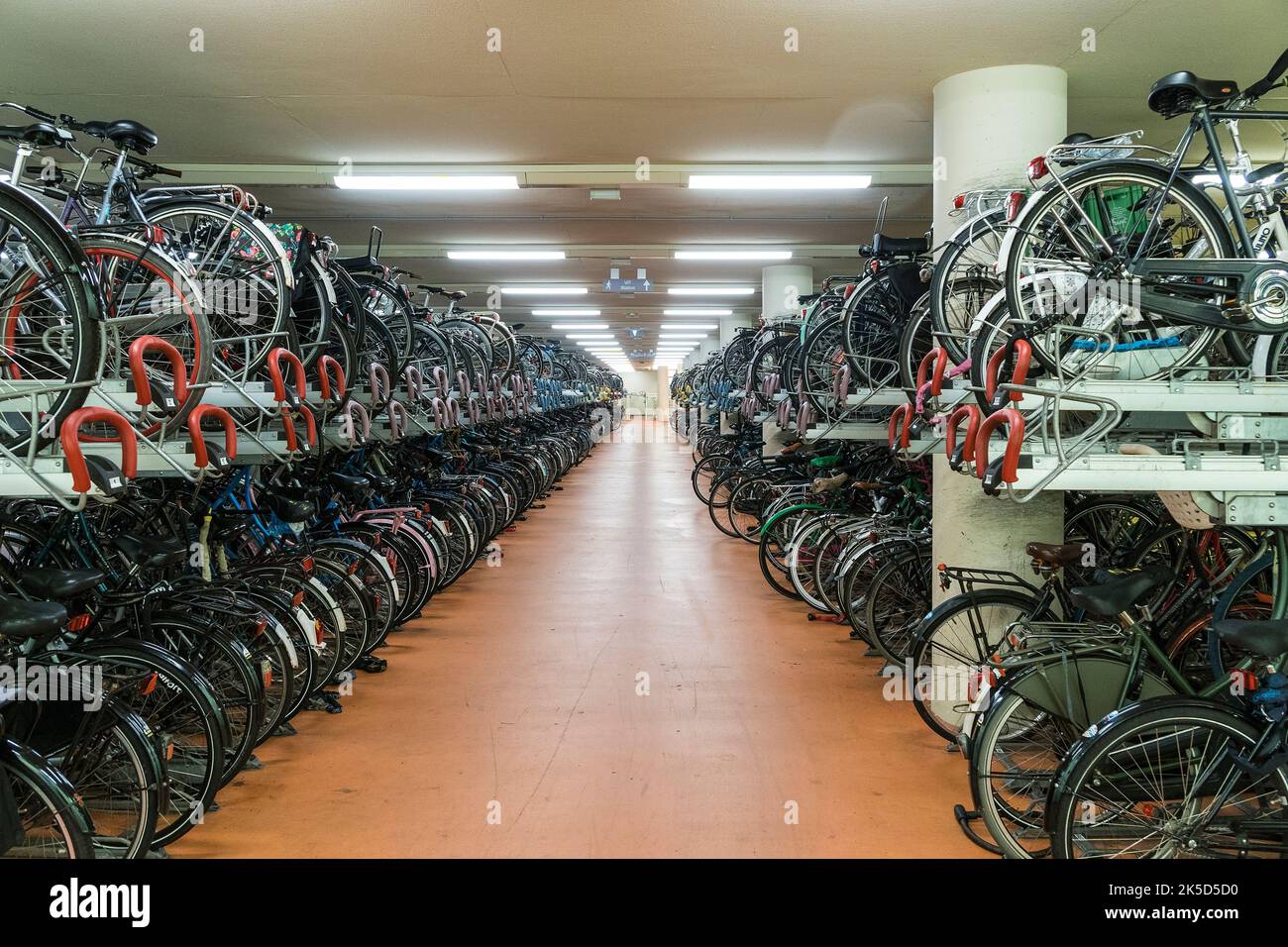 Netherlands, Rotterdam, Centraal station, bicycle parking spaces Stock Photo