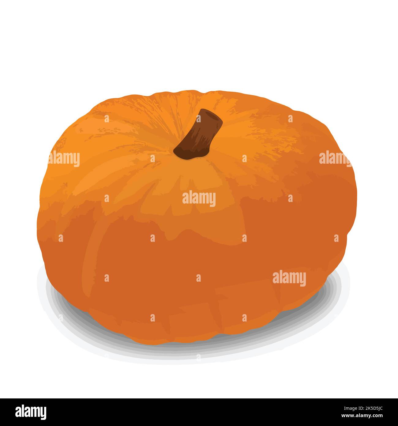 Orange pumpkin isolated on a white background, vector illustration Stock Vector