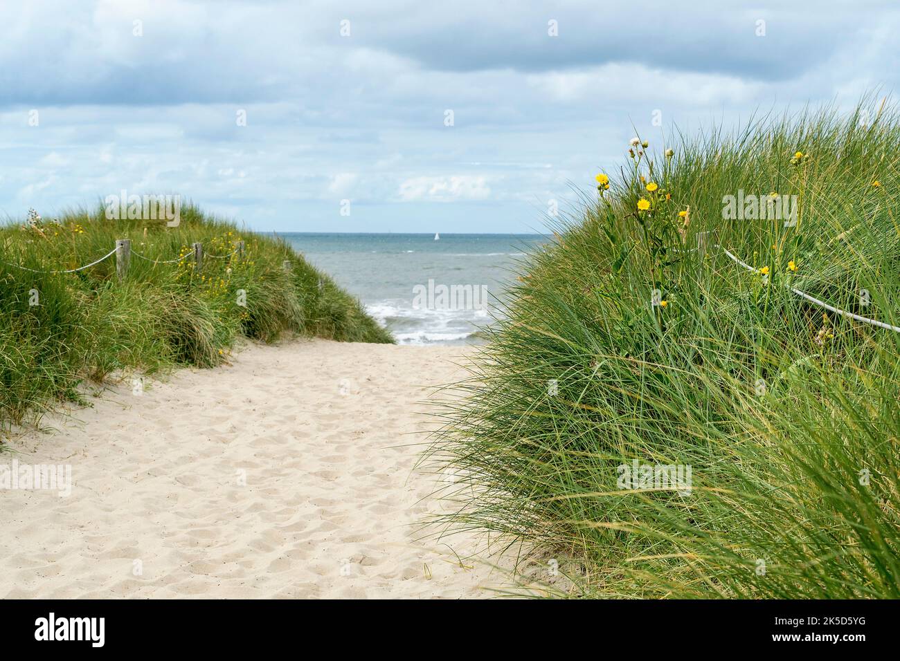Netherlands, Texel, west coast, bathing beach near De Koog, dune Stock Photo