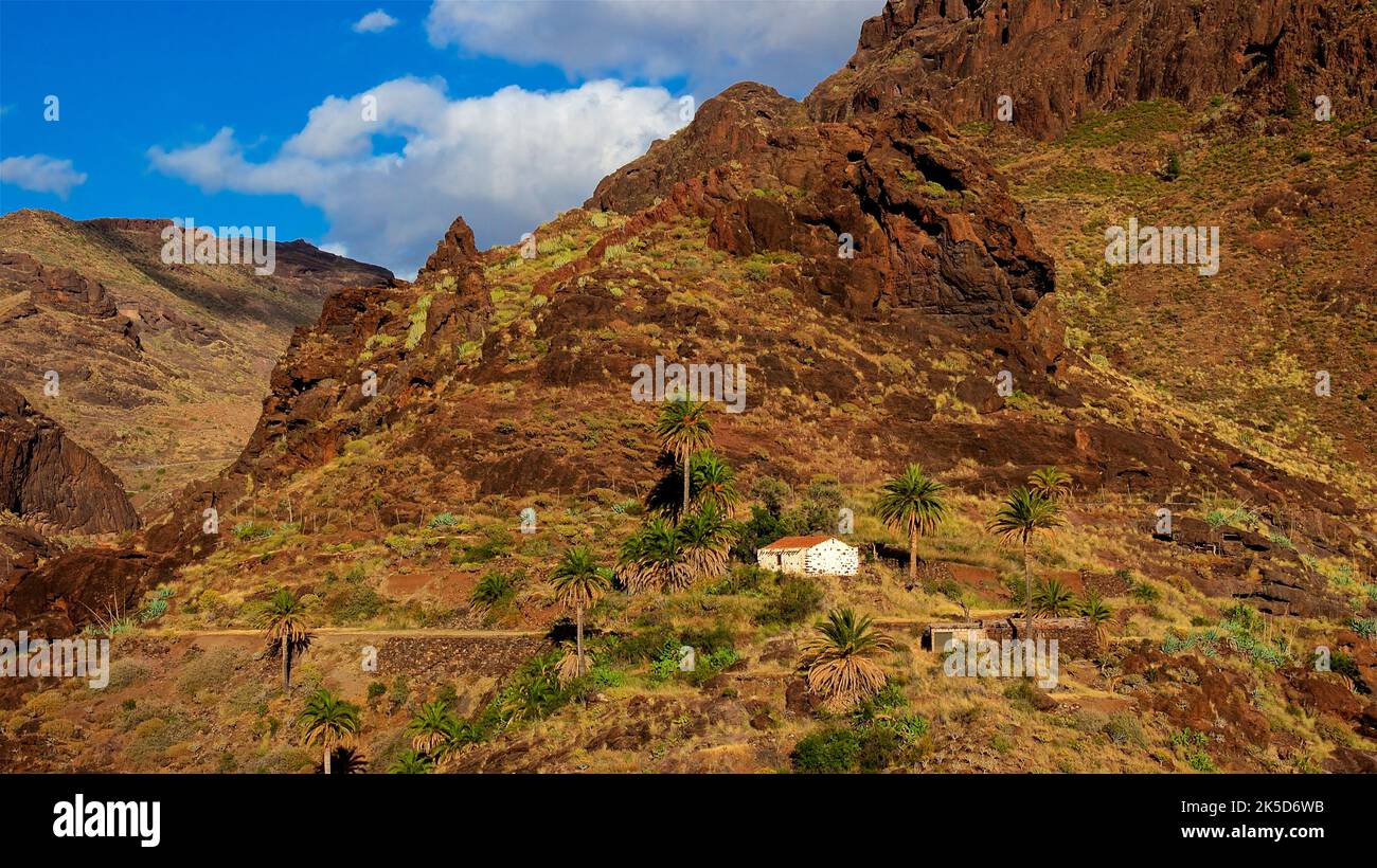Spain, Canary Islands, Gran Canaria, Barranco de la Aldea, finca with palm trees, overgrown canyon slopes, blue sky with white clouds Stock Photo