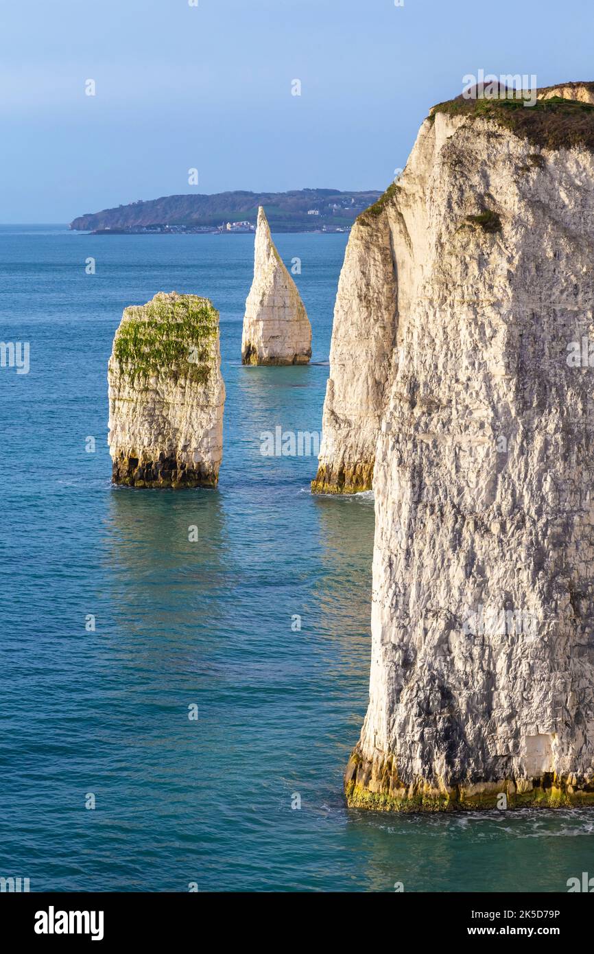 View of the Pinnacles rock. Old Harry Rocks, Handfast Point, Isle of Purbeck, Jurassic Coast, Dorset, England, United Kingdom. Stock Photo