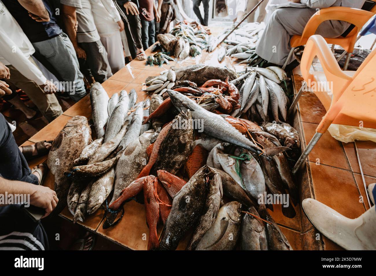 Saudi Arabia, Mecca province, Jeddah/Jeddah, fish market, men, fish