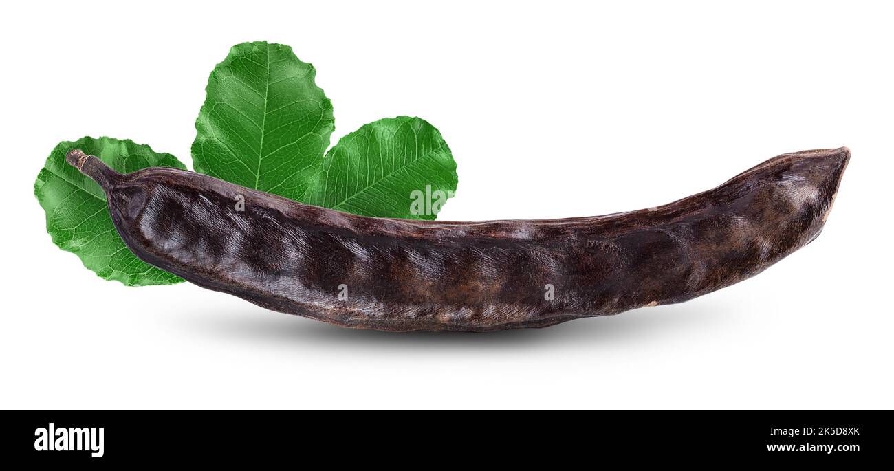 Ripe carob pods isolated on white background with full depth of field