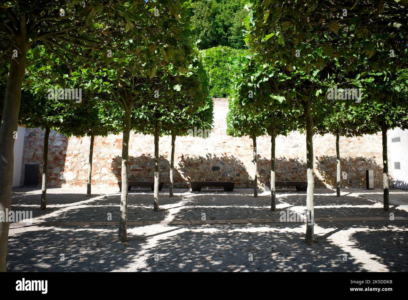 Trees were trimmed into square geometric shapes. It made the shadow into grids. Stock Photo