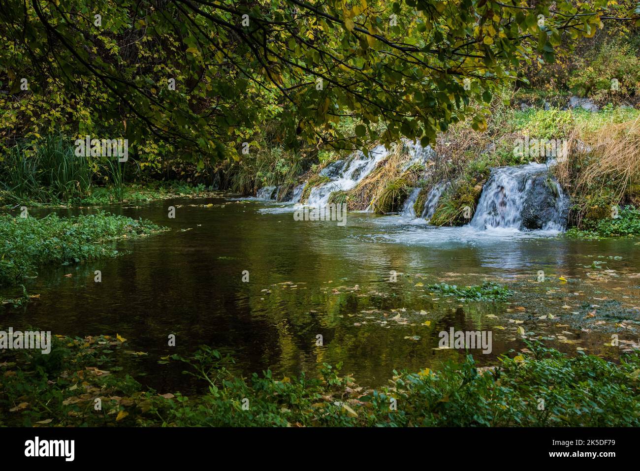 Cascade Springs in the Wasatch Mtns. of northern Utah. USA.  The elevation is approx. 8000 ft. ( 2375 mtrs.) Stock Photo