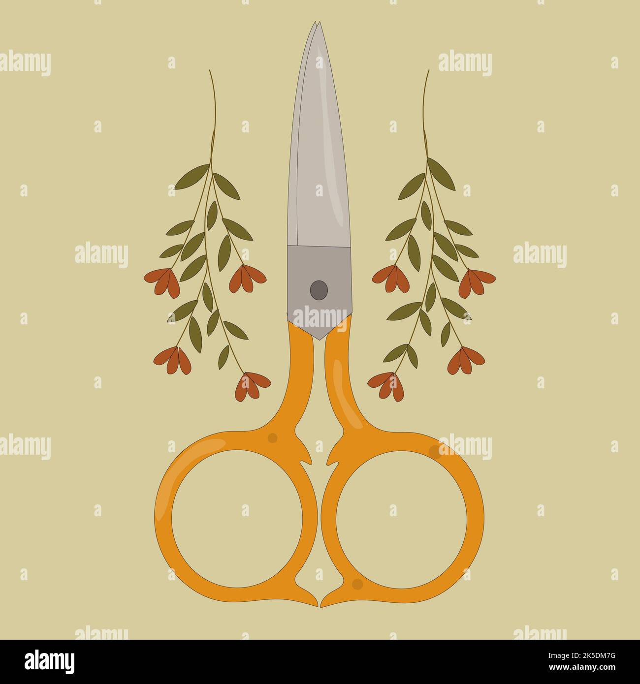Vector of cute elements, small scissors, decorative flowers Stock Photo ...