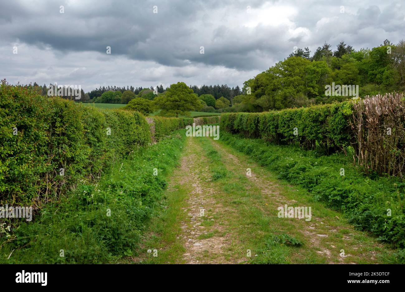 Hampshire country lane Stock Photo