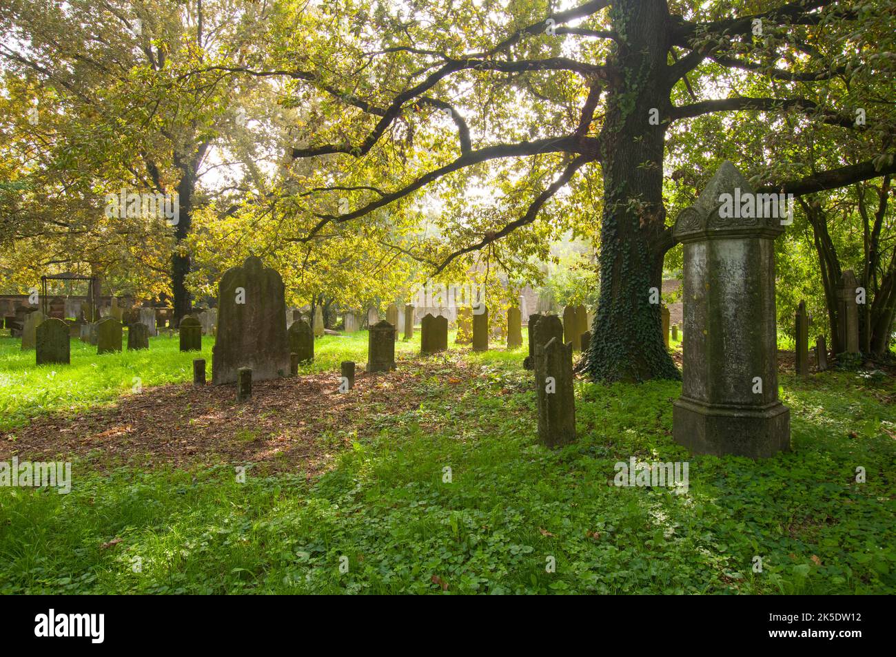 View of the old jewish cemetery in the town of Ferrara, Italy Stock Photo