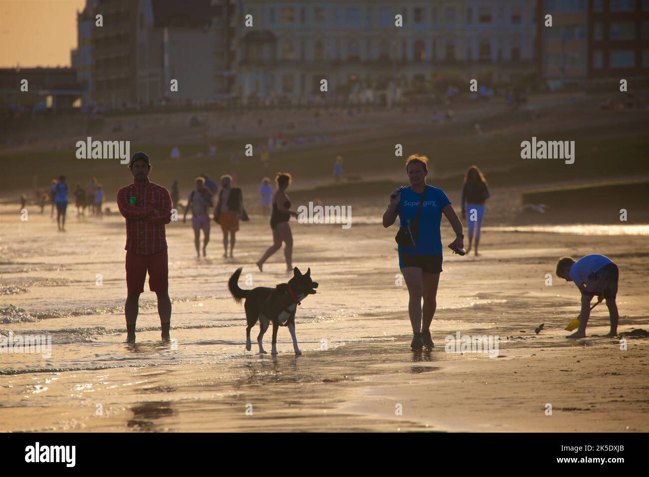 People on the beach at low tide in the late afternoon, July, Brighton & Hove, East Sussex, England, UK. Jogging and walking the dog Stock Photo
