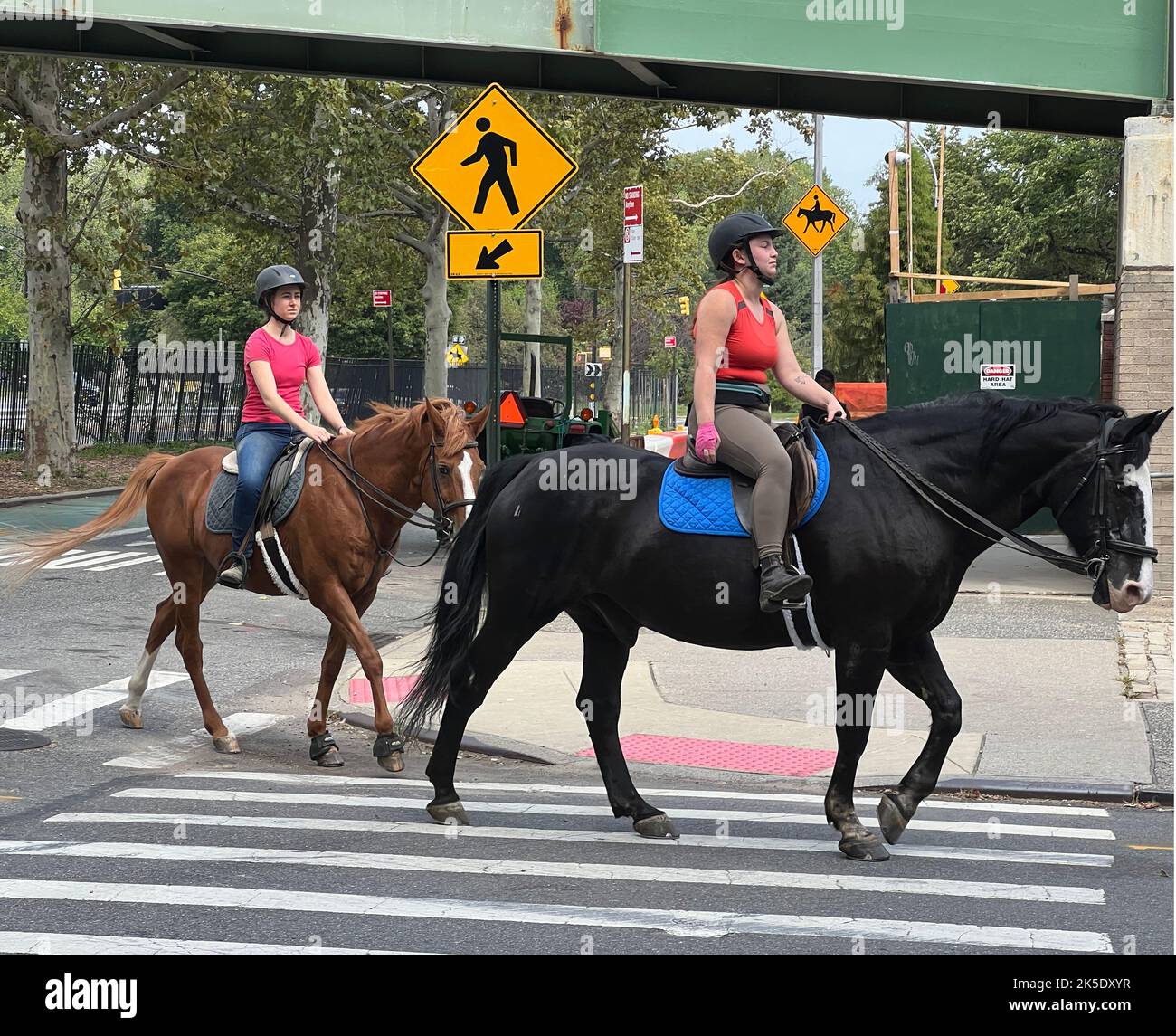 Two women on horseback riding back to the stables from Prospect Park