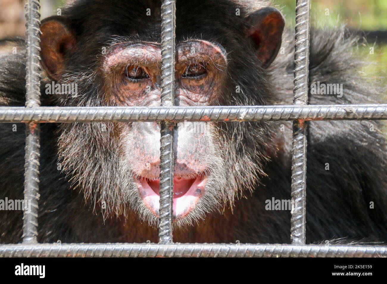 Musee Vivant, Bujumbura, Burundi Stock Photo - Alamy