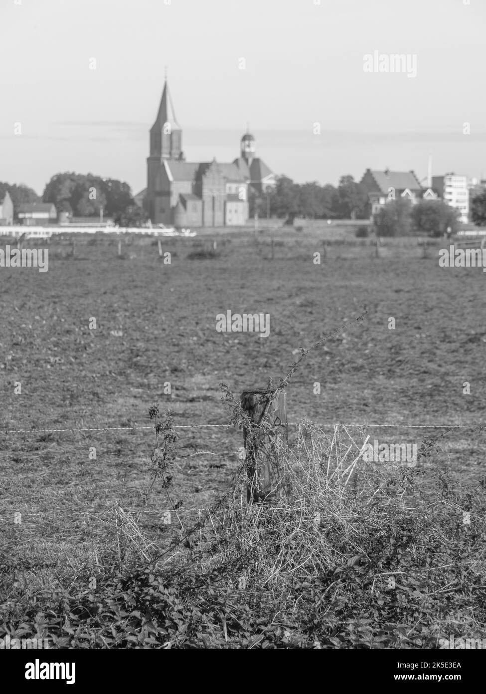 the city of Emmerich at the rhine river Stock Photo Alamy