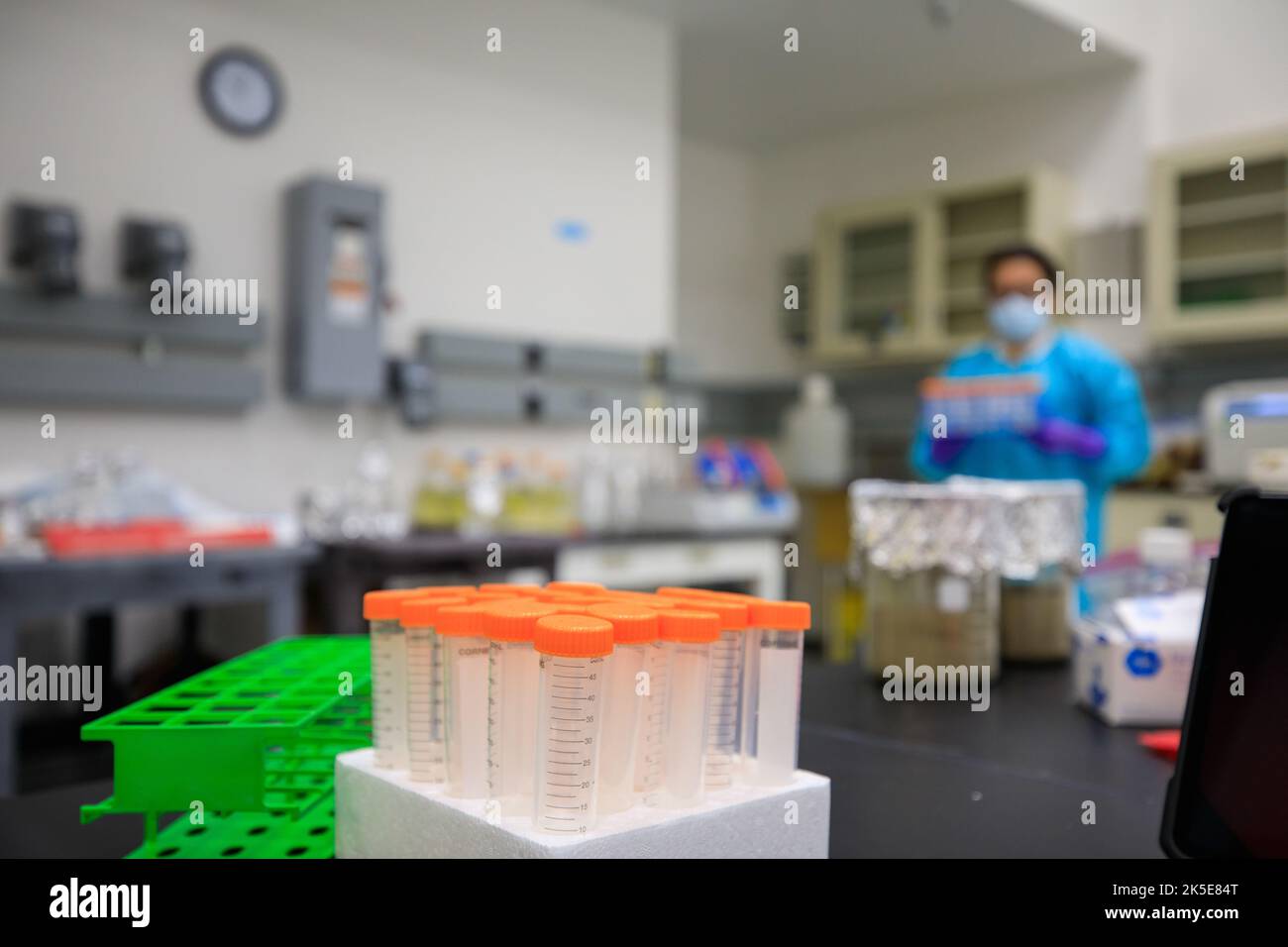 In this photo, science tubes containing bacterial cells are being