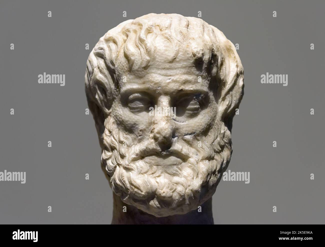 Head of Aristotle close-up, marble statue of Greek philosopher Aristotle isolated on gray. Portrait of famous Ancient thinker Aristotle or Aristoteles Stock Photo