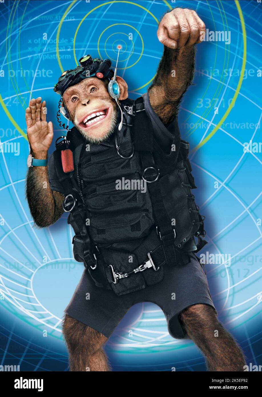 Funky monkey 2004 hi-res stock photography and images - Alamy