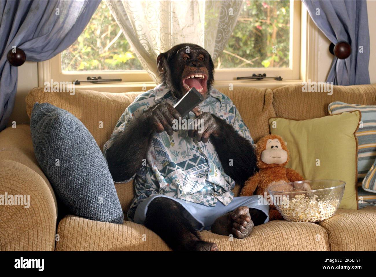 Funky monkey 2004 hi-res stock photography and images - Alamy