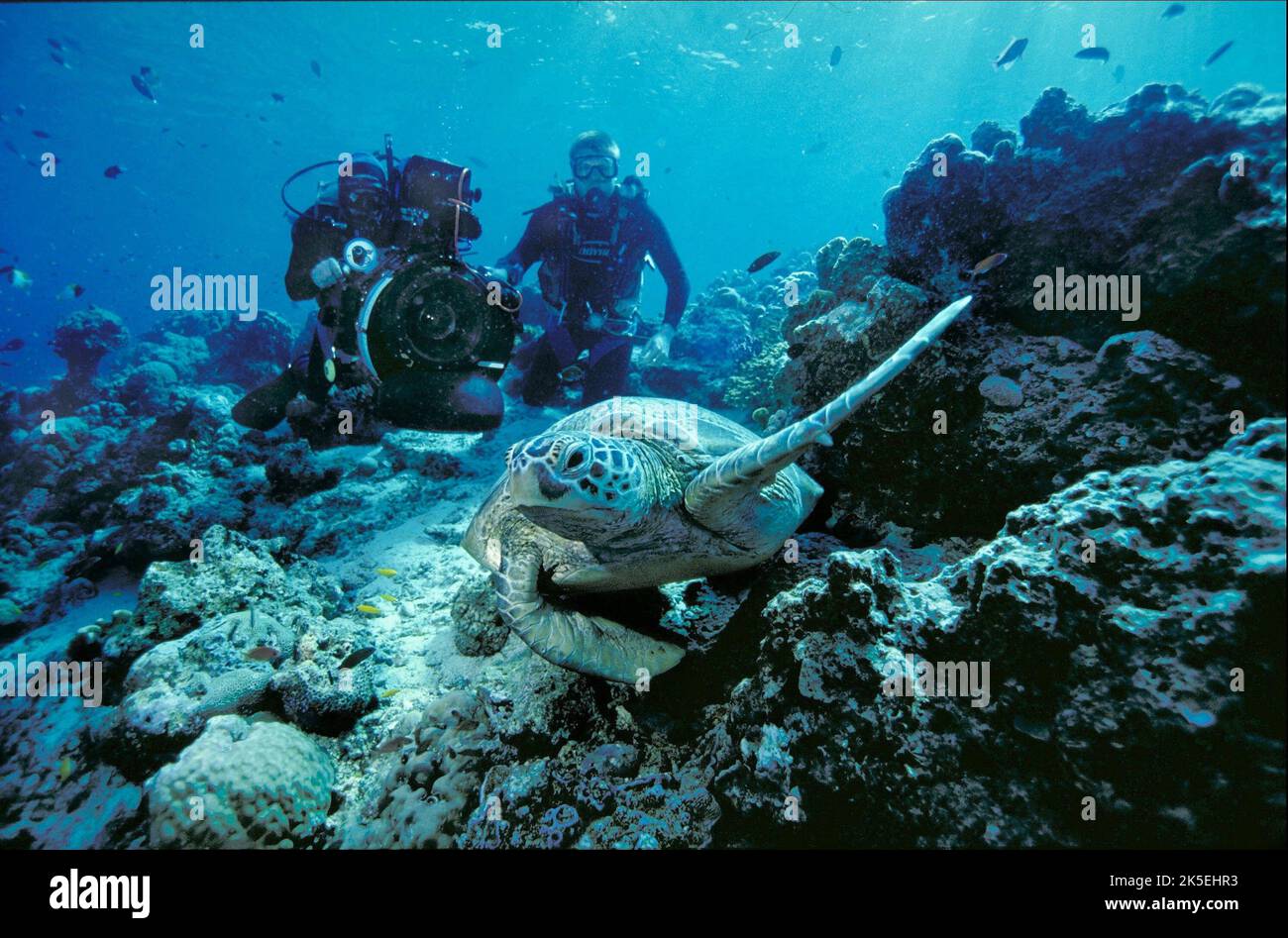 ISLANDS,BORNEO, SACRED 2004 Stock Photo Alamy