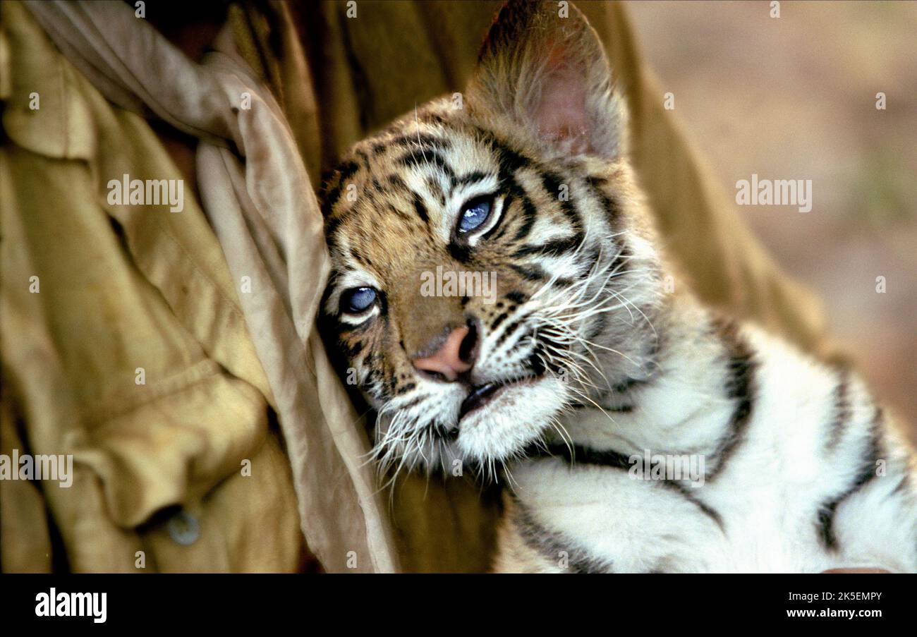 Kumal hi-res stock photography and images - Alamy