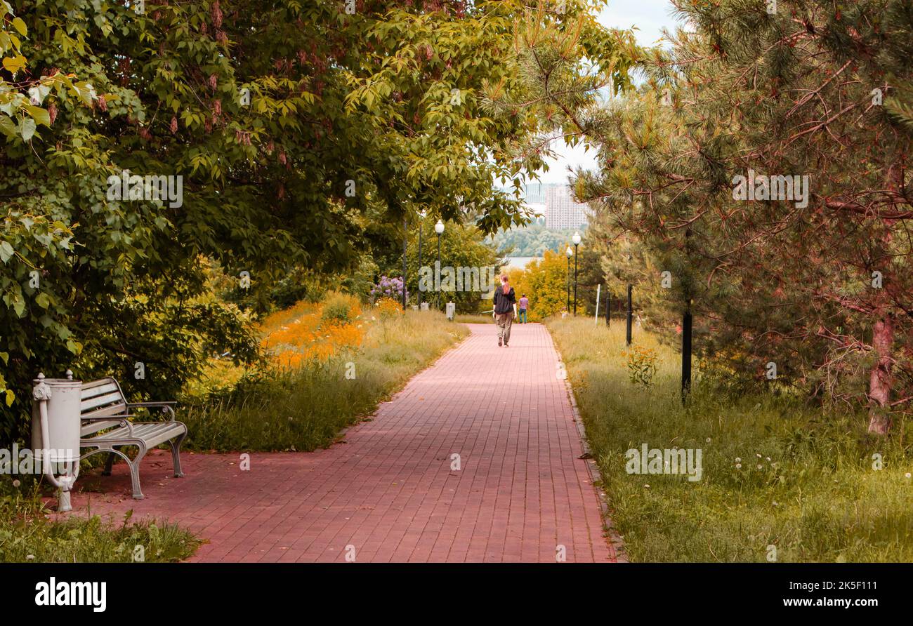 A path for walking in a city park with sunlight and shadows. Silhouette ...