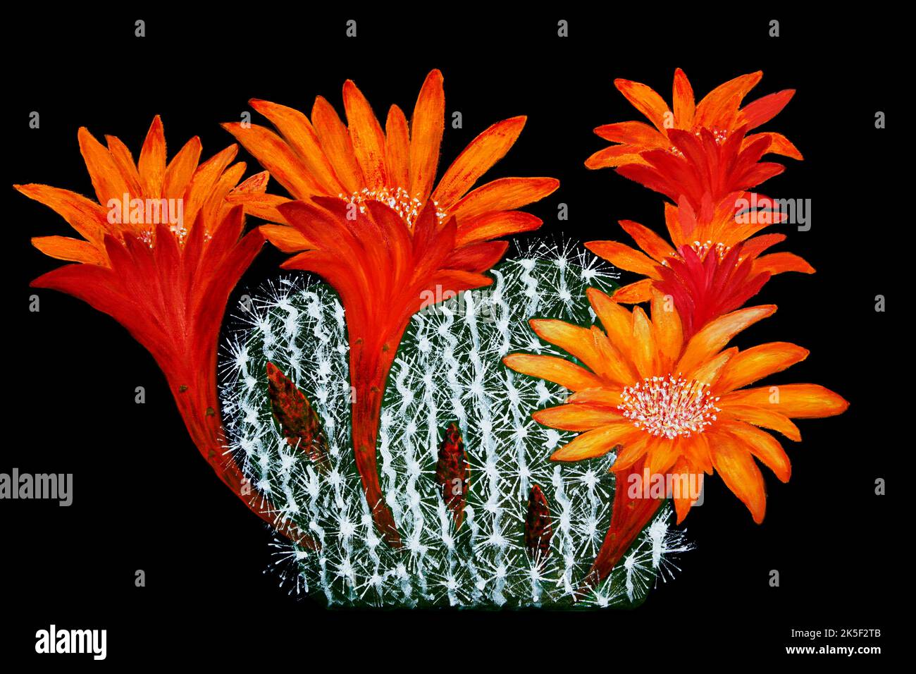 Oil painting of Orange cactus flowers in bloom Stock Photo