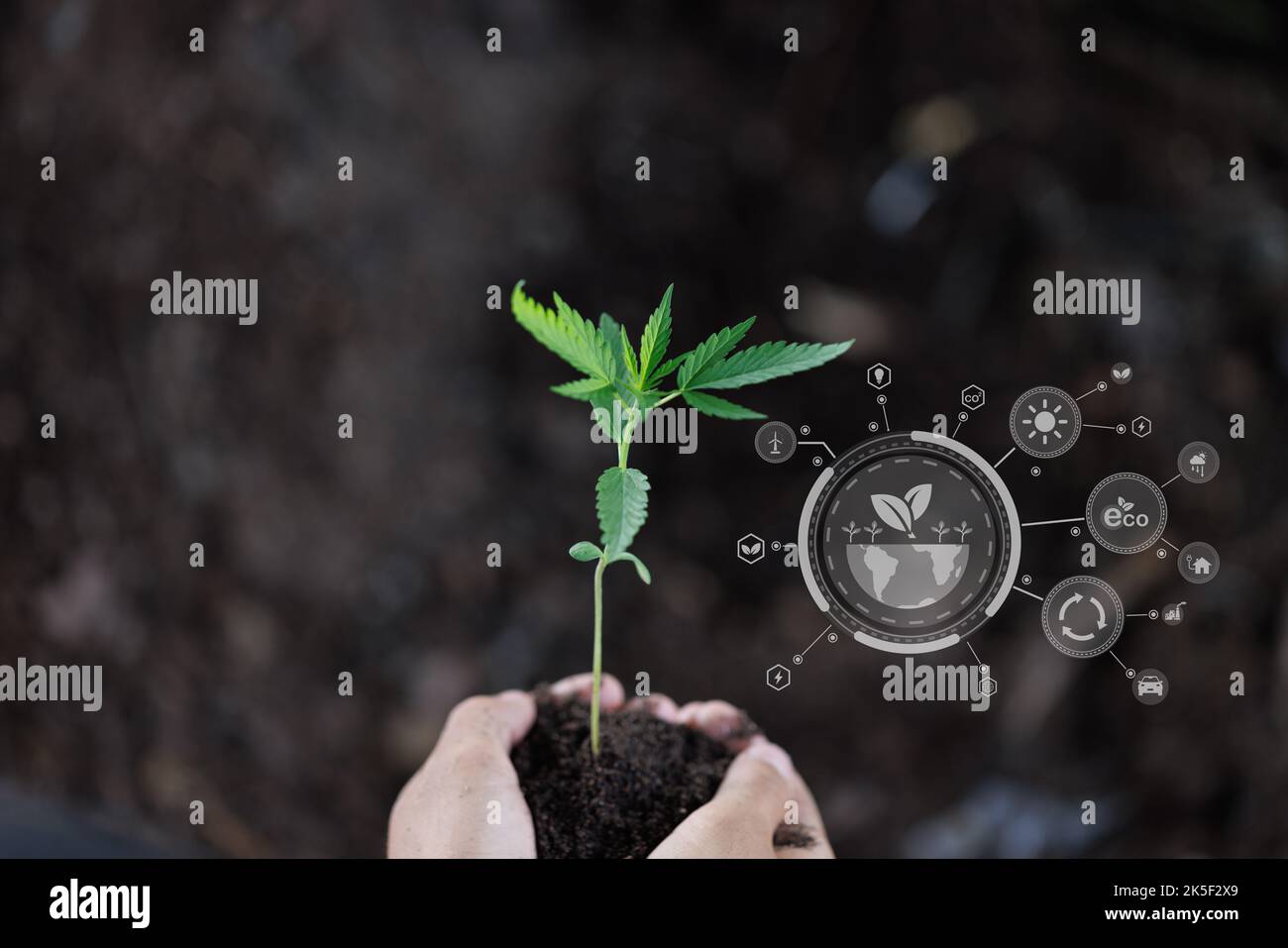 Hand planting trees with technology of renewable resources to reduce