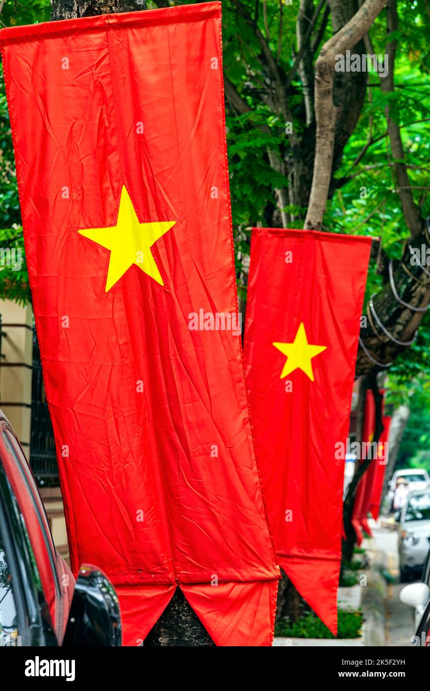 Vietnamese flag hanging from tree, Hai Phong, Vietnam Stock Photo
