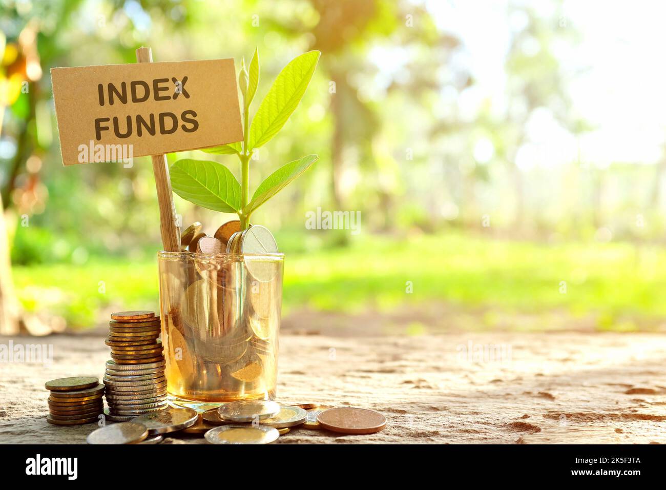 Investment on index funds concept. Coins in a jar with soil and growing plant in nature