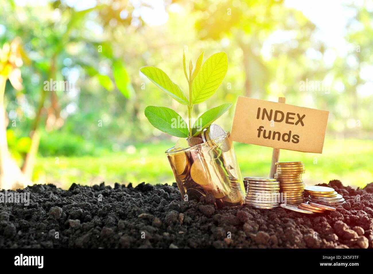 Investment on index funds concept. Coins in a jar with soil and growing plant in nature