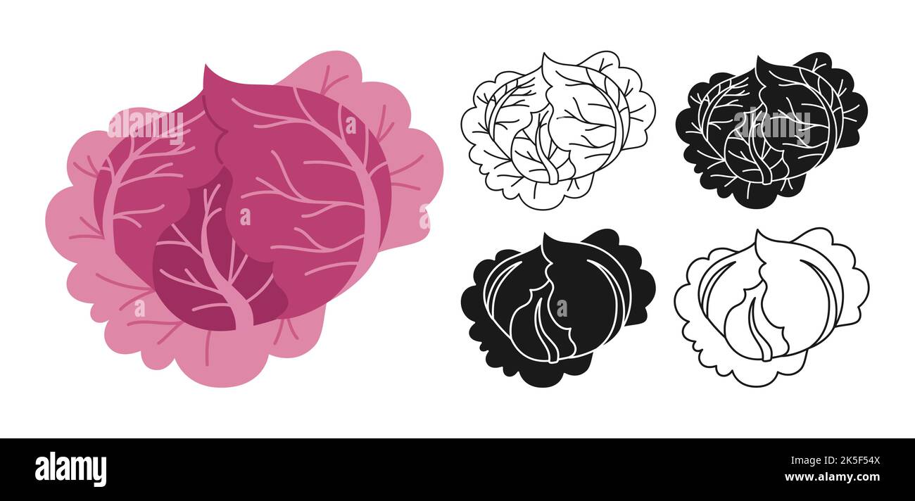 Purple cabbage cartoon linear symbol set, doodle style, engraving silhouette. Fresh violet cabbages vegetable icon healthy food design. Agricultural vegetarian nutrition kitchen, farm market vector Stock Vector