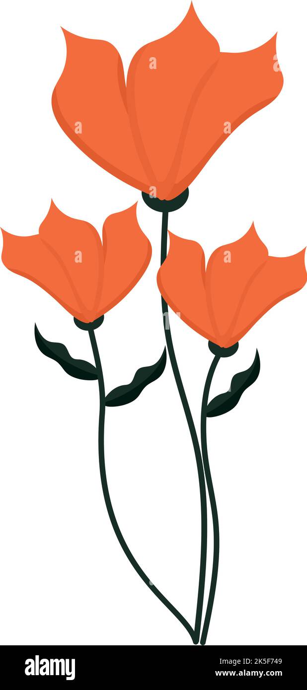 orange flowers illustration Stock Vector Image & Art - Alamy