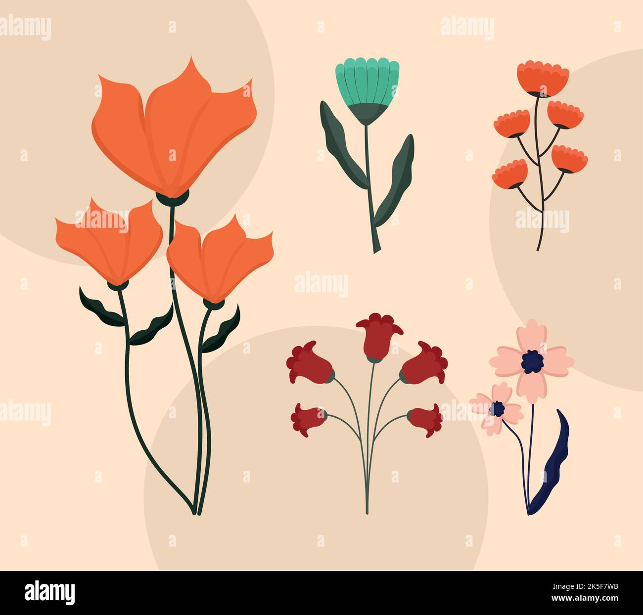 colorful flowers set Stock Vector Image & Art - Alamy