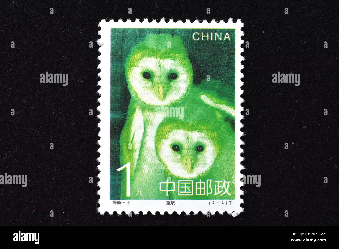 CHINA - CIRCA 1995: A stamp printed in China shows 1995-5, Scott 2559-62 Owls , circa 1995 Stock Photo