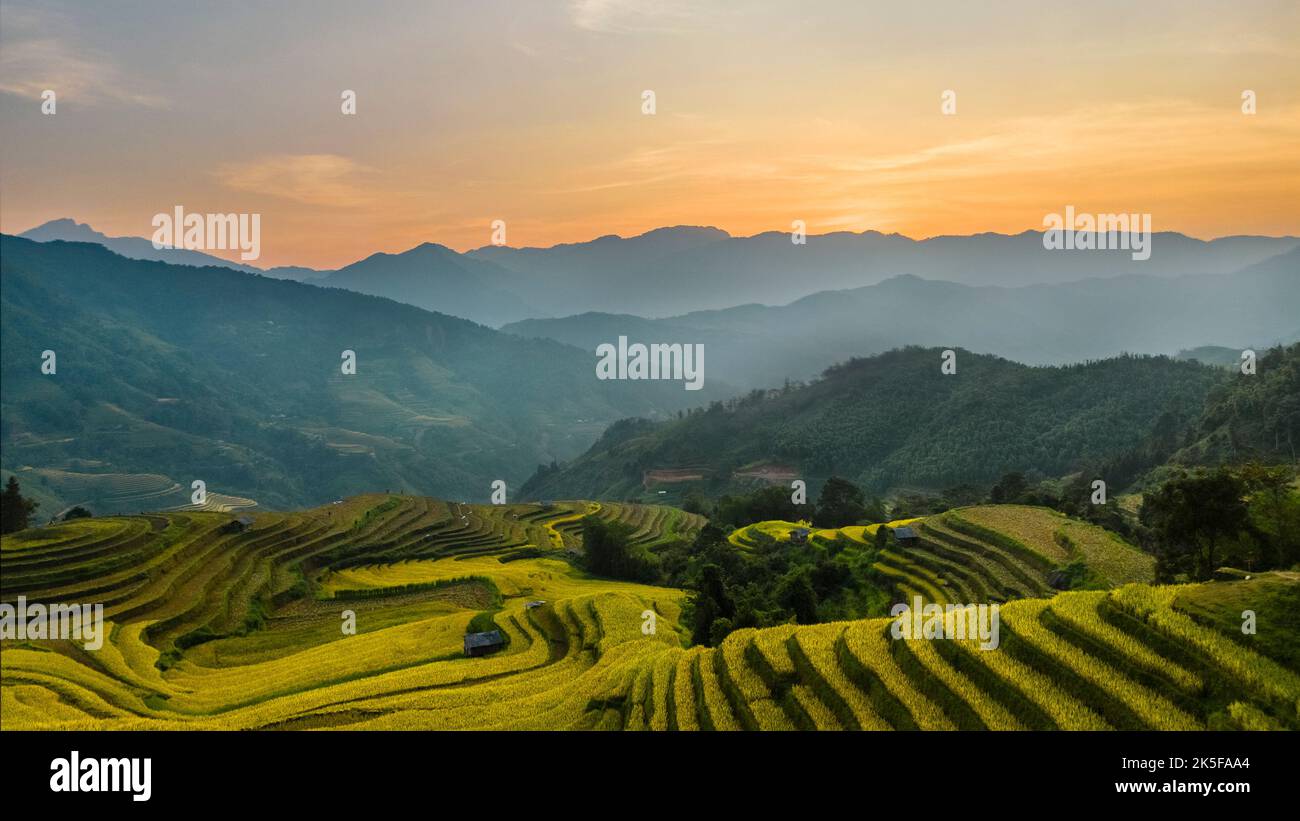 The majestic terraced fields in Ha Giang province, Vietnam. Rice fields ready to be harvested in Northwest Vietnam. Stock Photo