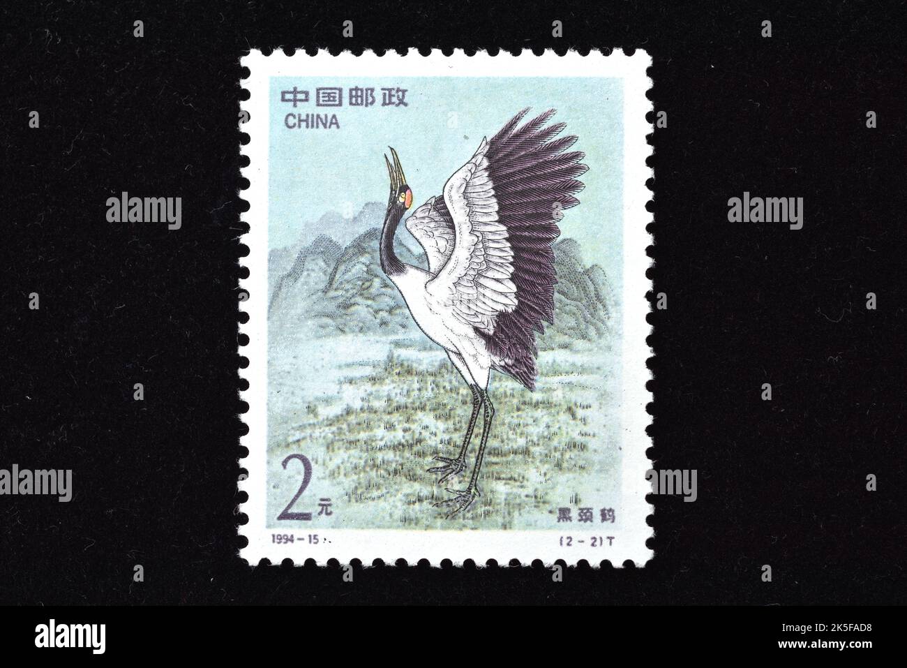 CHINA - CIRCA 1994: A stamp printed in China shows 1994-15, Scott 2528-29 Cranes joint issue US  American Crane Black Neck Crane , circa 1994 Stock Photo
