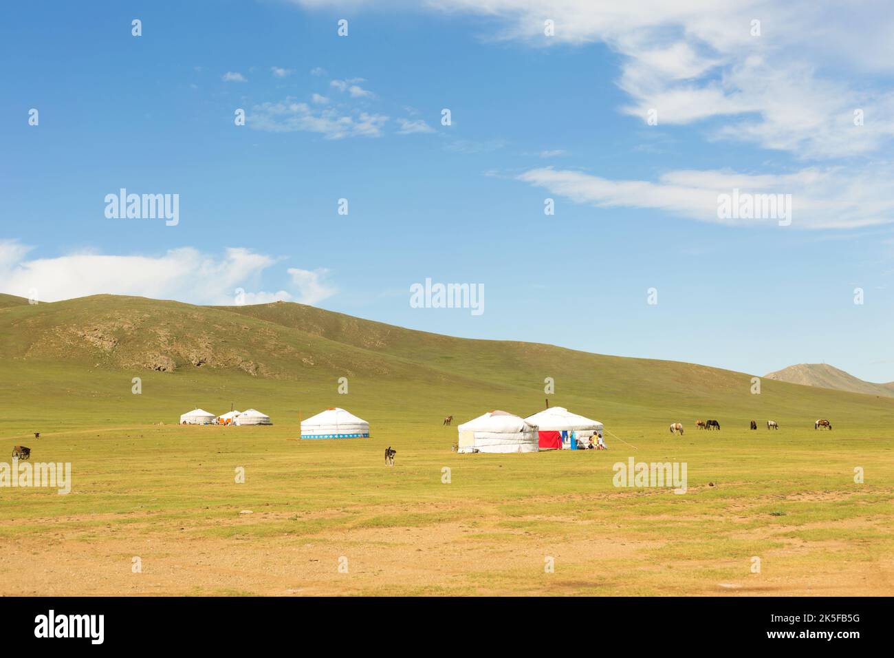Yurts and Horses in Mongolian Steppe Stock Photo Alamy