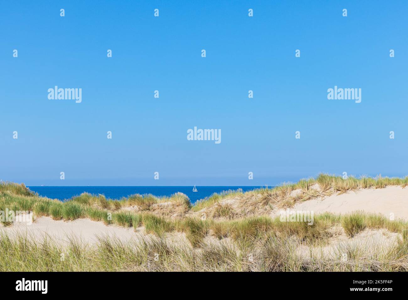 Scenic of dunes along the Dutch coast of North Holland between Schoorl ...