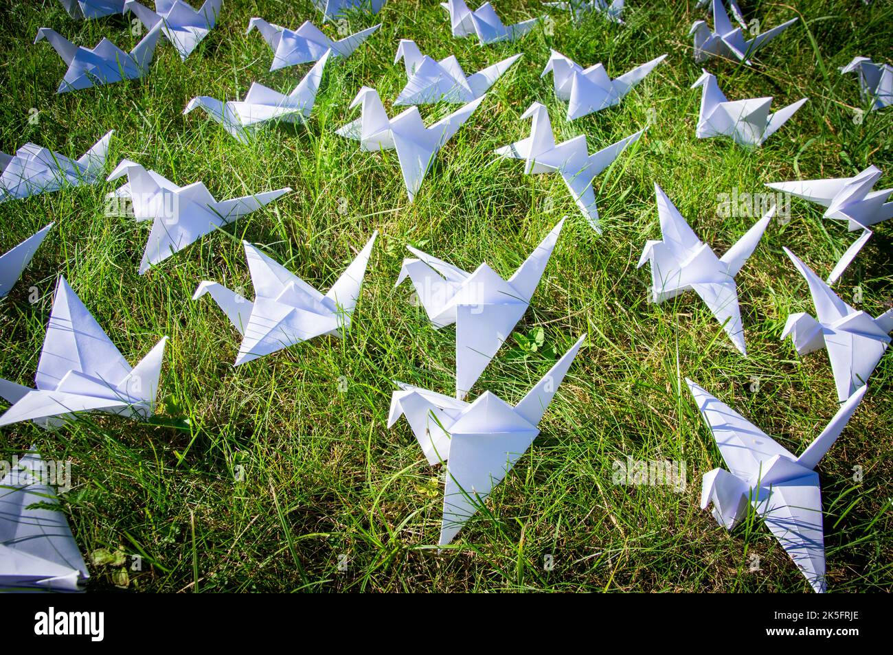 Japanese folded Origami cranes on fresh grass. Hundreds handmade paper