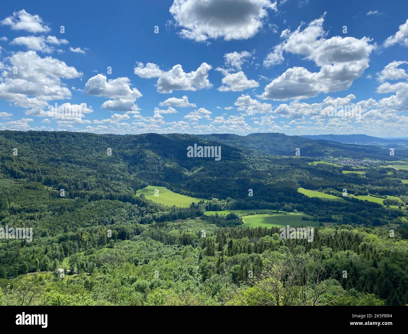 A scenic view of dense green forests under the blue sky with white ...