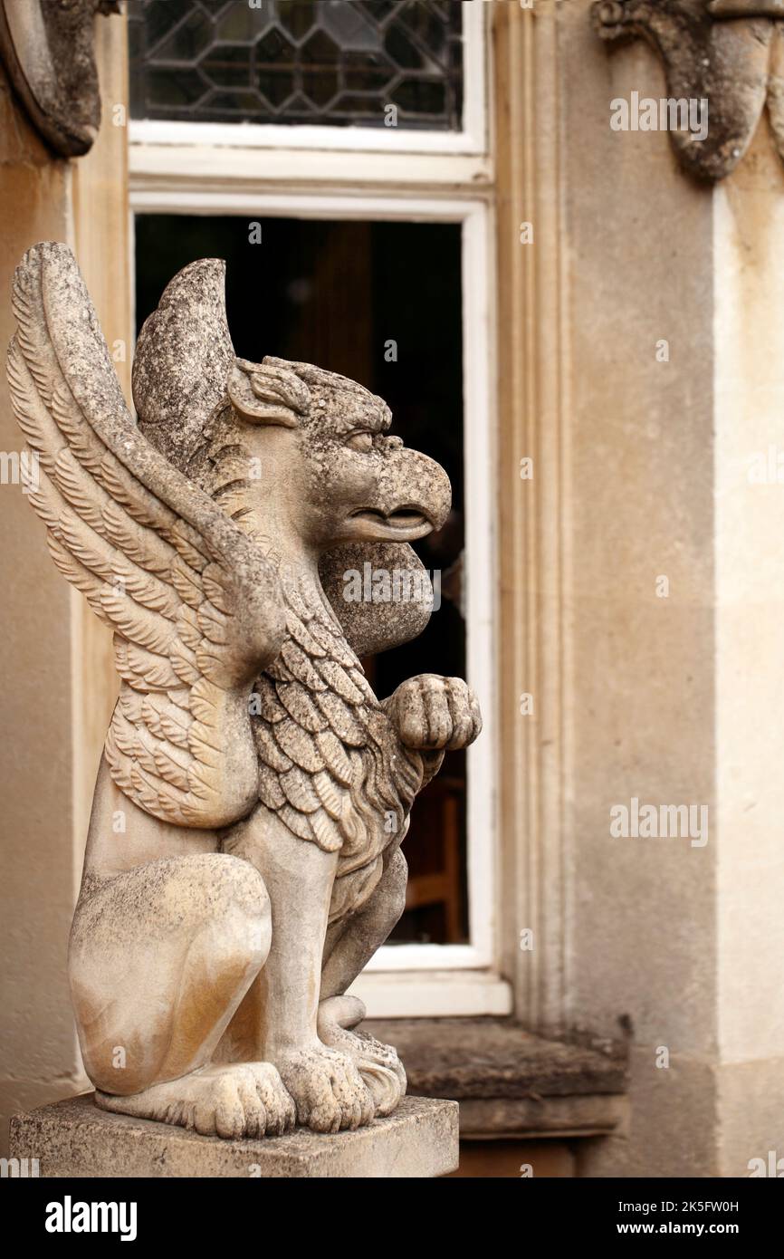Griffin, stone statue Stock Photo Alamy