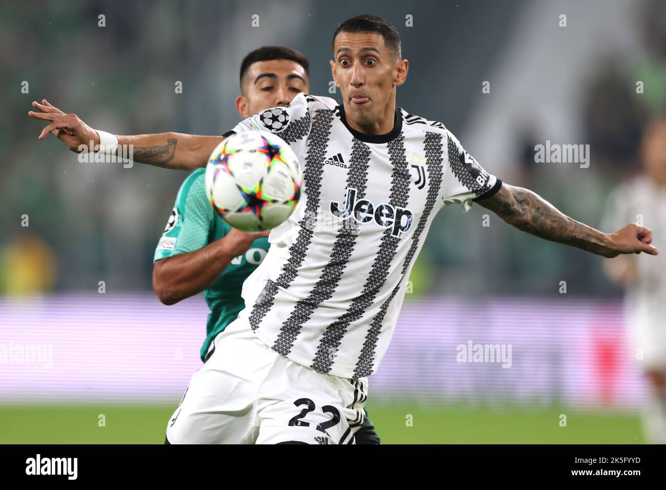 Fani haifa hi-res stock photography and images - Alamy