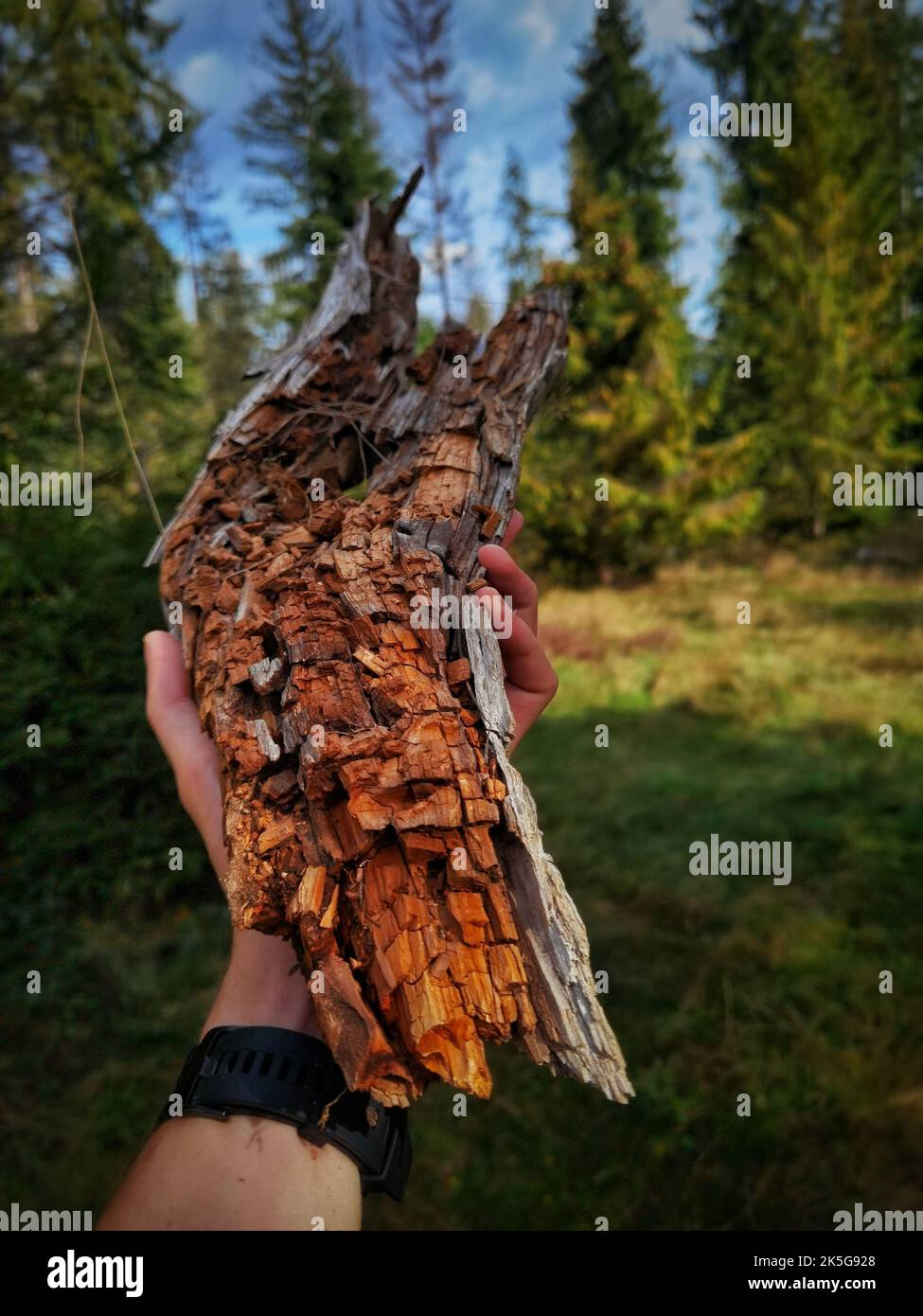 Hand stump hi-res stock photography and images - Alamy