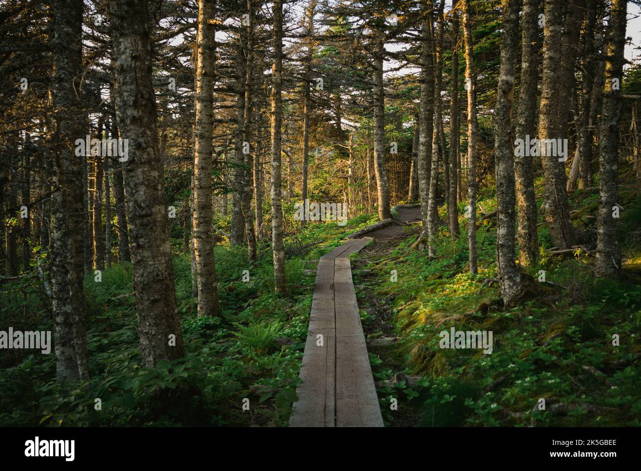 Labrador canada mountains hi-res stock photography and images - Alamy
