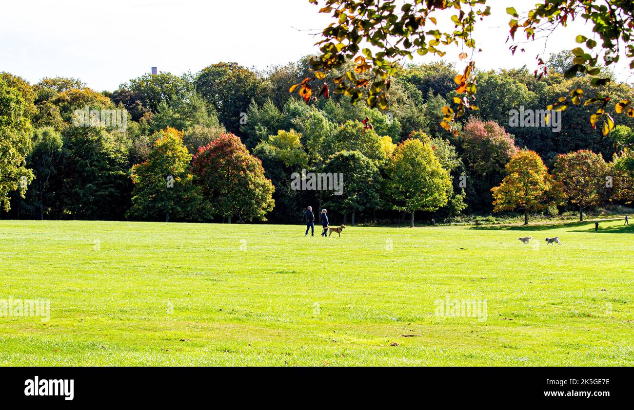 Dundee, Tayside, Scotland, UK. 8th October 2022. UK Weather Northeast