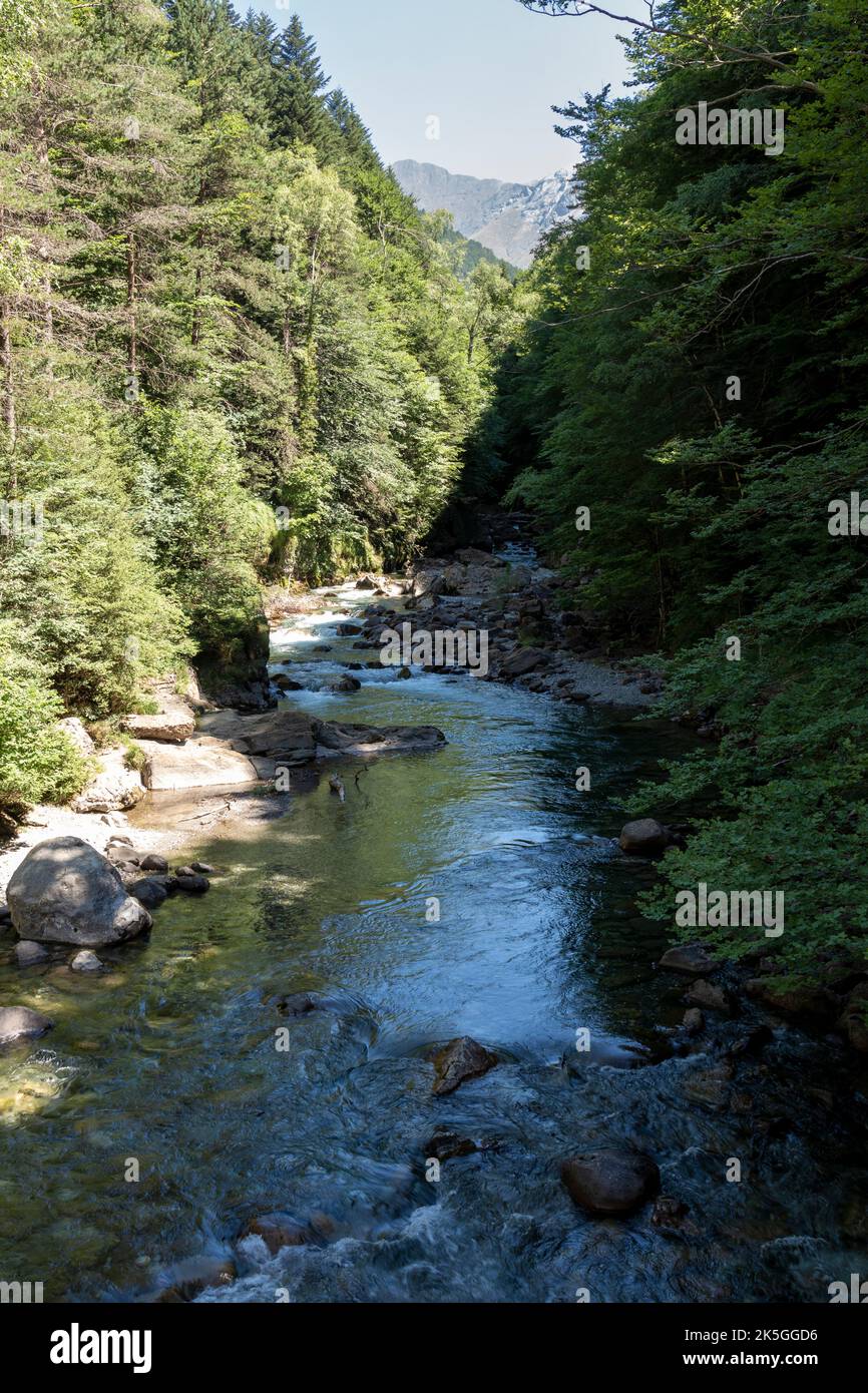 Landscape with the Ara river in the Bujaruelo valley, Aragonese Pyrenees, bordering the Ordesa and Monte Perdido National Park, Huesca, Spain. Stock Photo